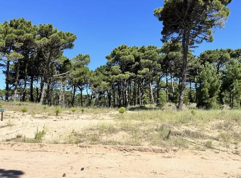 Terreno en venta · Pinamar, Costa Atlántica, Provincia de Buenos Aires Terreno en venta · Pinamar, Costa Atlántica, Provincia de Buenos Aires