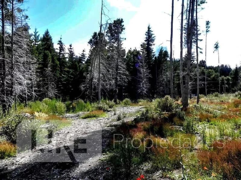 Terreno en venta · San Carlos de Bariloche, Bariloche, Río Negro Terreno en venta · San Carlos de Bariloche, Bariloche, Río Negro
