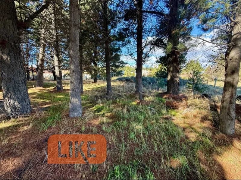 Terreno en venta · Bariloche, Río Negro Terreno en venta · Bariloche, Río Negro