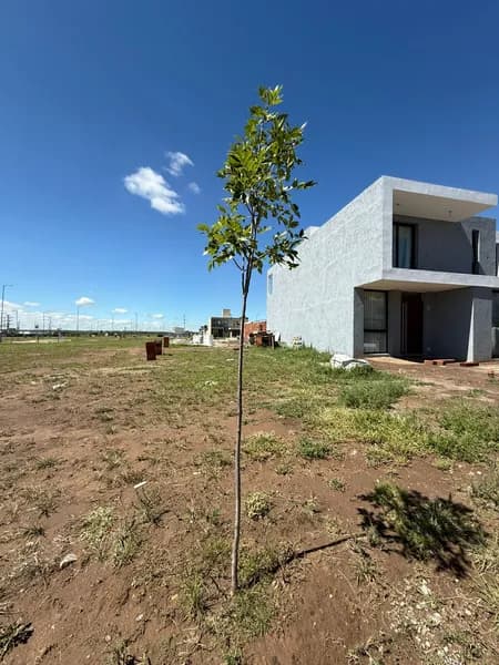 Terreno en venta · Docta Central, Docta, Córdoba Capital, Córdoba Terreno en venta · Docta Central, Docta, Córdoba Capital, Córdoba