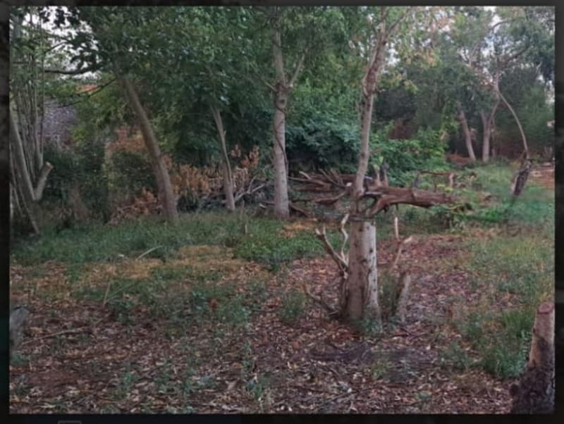 Terreno en venta · Los Cardales, Exaltación de la Cruz, GBA Norte, Provincia de Buenos Aires Terreno en venta · Los Cardales, Exaltación de la Cruz, GBA Norte, Provincia de Buenos Aires