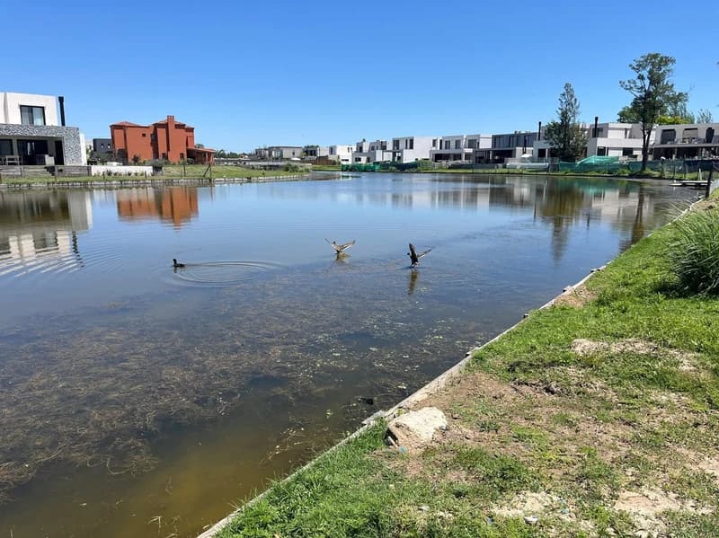 Terreno en venta · Laguna Grande, Villanueva, Tigre, GBA Norte, Provincia de Buenos Aires Terreno en venta · Laguna Grande, Villanueva, Tigre, GBA Norte, Provincia de Buenos Aires