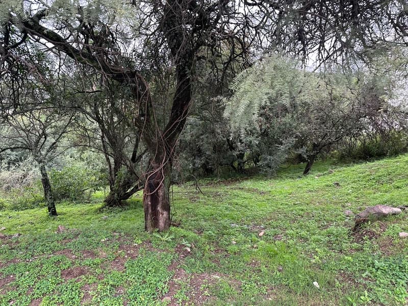 Terreno en venta · Cinco lomas, Villa Warcalde, La Calera, Colon, Córdoba Terreno en venta · Cinco lomas, Villa Warcalde, La Calera, Colon, Córdoba