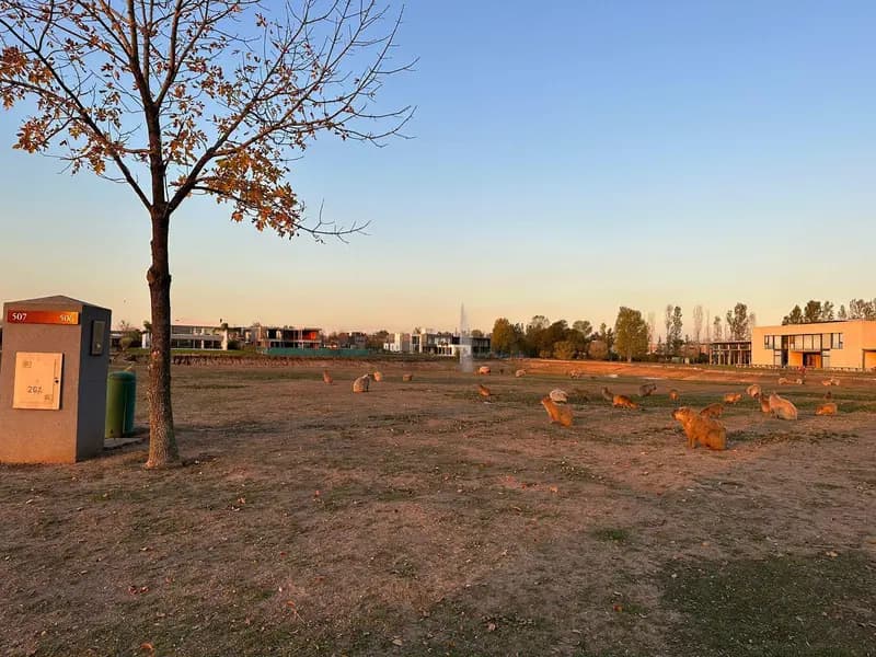 Terreno en venta · Terravista, General Rodriguez, GBA Oeste, Provincia de Buenos Aires Terreno en venta · Terravista, General Rodriguez, GBA Oeste, Provincia de Buenos Aires