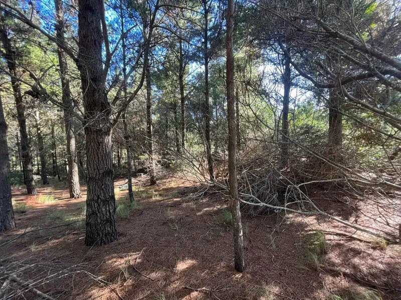 Terreno en venta · Costa Esmeralda, Punta Medanos, La Costa, Costa Atlántica, Provincia de Buenos Aires Terreno en venta · Costa Esmeralda, Punta Medanos, La Costa, Costa Atlántica, Provincia de Buenos Aires