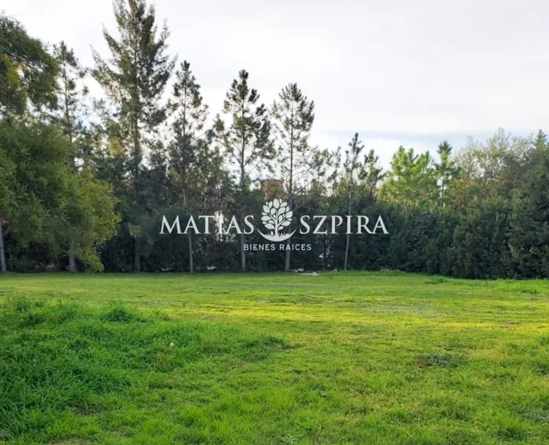 Terreno en venta · San Diego, Francisco Alvarez, Moreno, GBA Oeste, Provincia de Buenos Aires Terreno en venta · San Diego, Francisco Alvarez, Moreno, GBA Oeste, Provincia de Buenos Aires