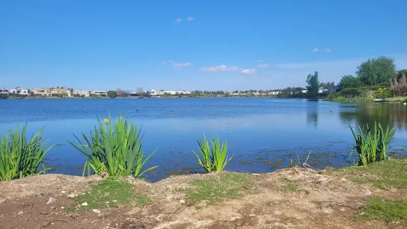 Terreno en venta · Santa Teresa, Villanueva, Tigre, GBA Norte, Provincia de Buenos Aires Terreno en venta · Santa Teresa, Villanueva, Tigre, GBA Norte, Provincia de Buenos Aires
