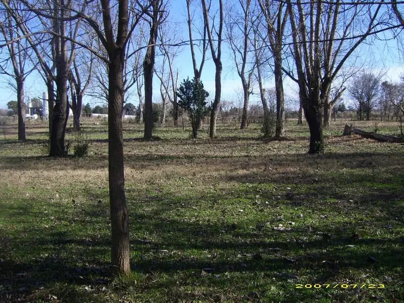 Terreno en venta · Pilar, GBA Norte, Provincia de Buenos Aires Terreno en venta · Pilar, GBA Norte, Provincia de Buenos Aires