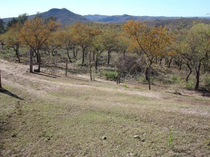 Terreno en venta · Villa Del Dique, Calamuchita, Córdoba Terreno en venta · Villa Del Dique, Calamuchita, Córdoba