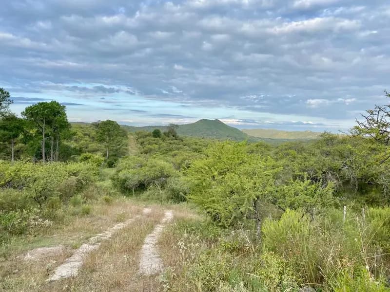 Terreno en venta · Villa Del Dique, Calamuchita, Córdoba Terreno en venta · Villa Del Dique, Calamuchita, Córdoba