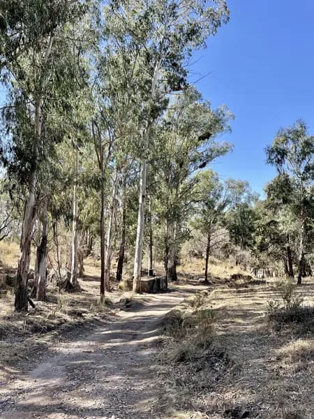 Terreno en venta · Villa Del Dique, Calamuchita, Córdoba Terreno en venta · Villa Del Dique, Calamuchita, Córdoba