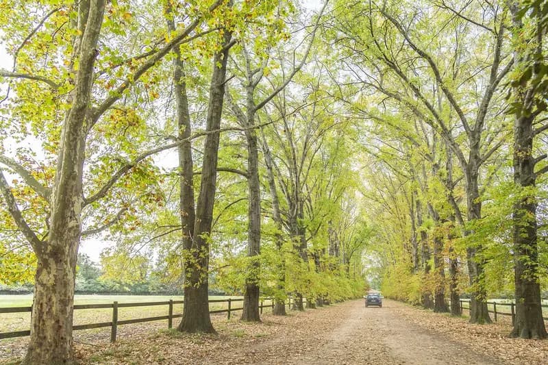 Terreno en venta · La Lonja, Manuel Alberti, Pilar, GBA Norte, Provincia de Buenos Aires Terreno en venta · La Lonja, Manuel Alberti, Pilar, GBA Norte, Provincia de Buenos Aires
