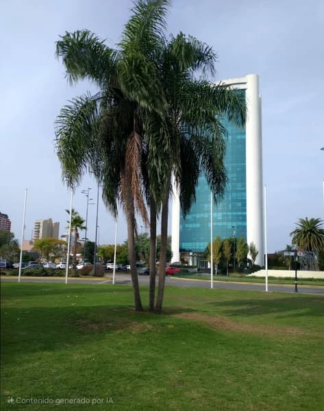 Oficina en alquiler · Tigre, GBA Norte, Provincia de Buenos Aires Oficina en alquiler · Tigre, GBA Norte, Provincia de Buenos Aires