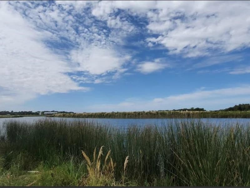 Terreno en venta · Santa Ana, Villanueva, Tigre, GBA Norte, Provincia de Buenos Aires Terreno en venta · Santa Ana, Villanueva, Tigre, GBA Norte, Provincia de Buenos Aires