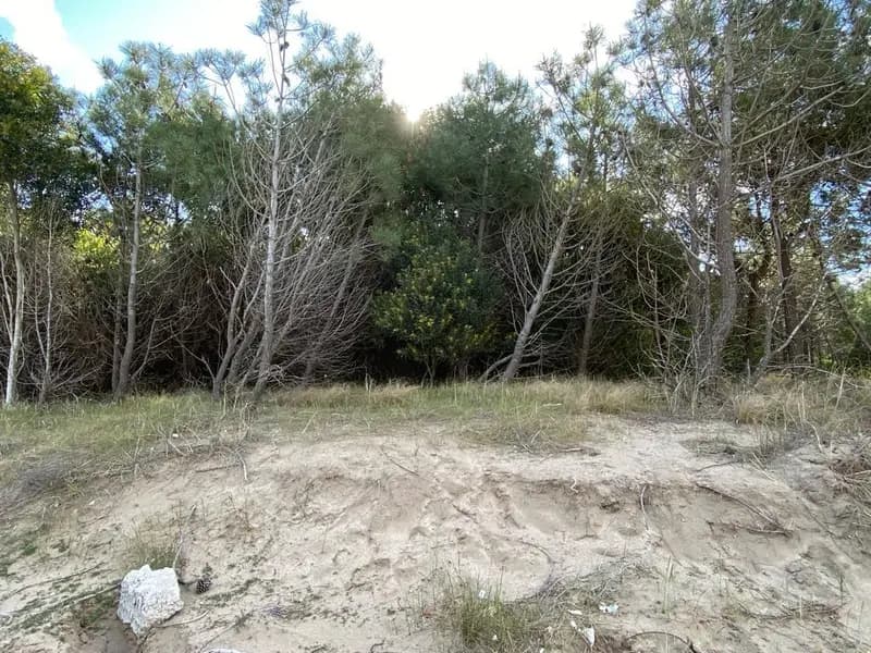 Terreno en venta · Costa Esmeralda, Punta Medanos, La Costa, Costa Atlántica, Provincia de Buenos Aires Terreno en venta · Costa Esmeralda, Punta Medanos, La Costa, Costa Atlántica, Provincia de Buenos Aires